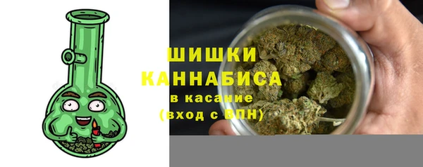 гашик Аркадак