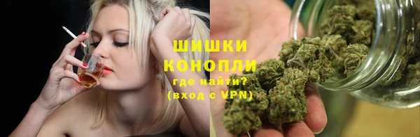 гашик Аркадак