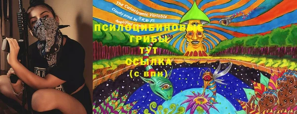 гашик Аркадак