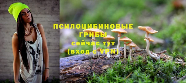 гашик Аркадак
