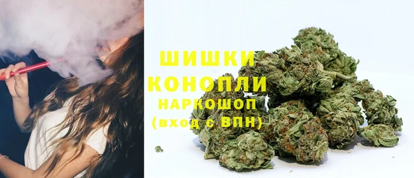 гашик Аркадак